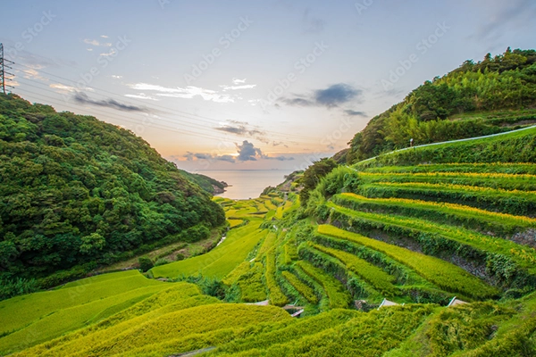 佐賀県佐賀市